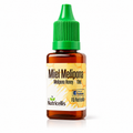 Miel Melipona - FREE SHIPPING